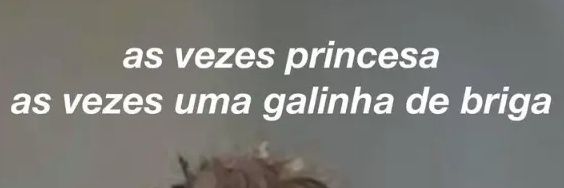 Srta Coelho banner