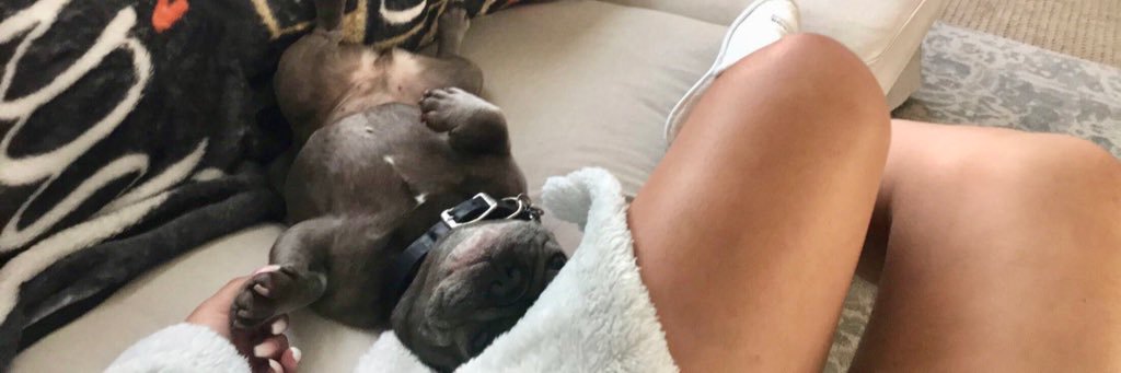 gabbymcraee's profile banner image