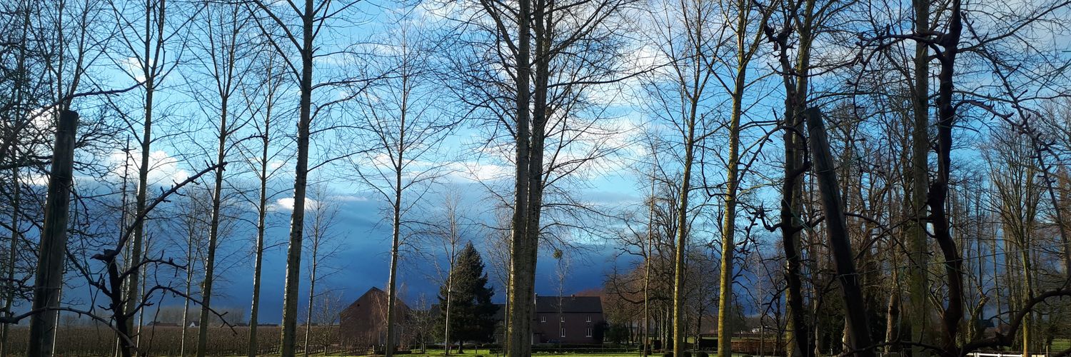 Karel Vaes banner