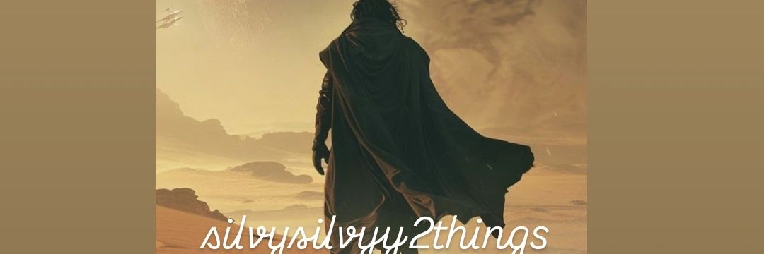silvyythings's profile banner image