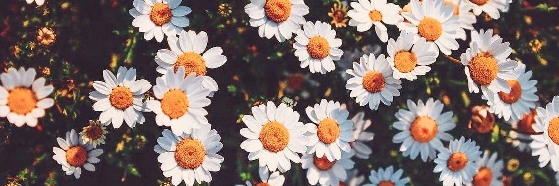 DancingSummer94's profile banner image