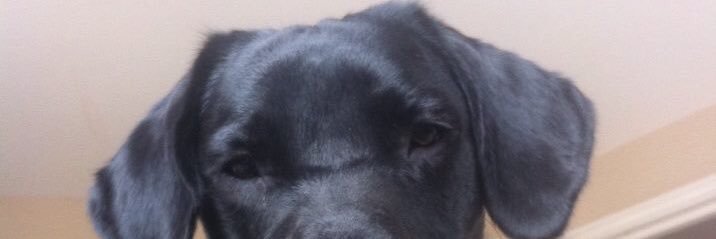 MelMilson's profile banner image