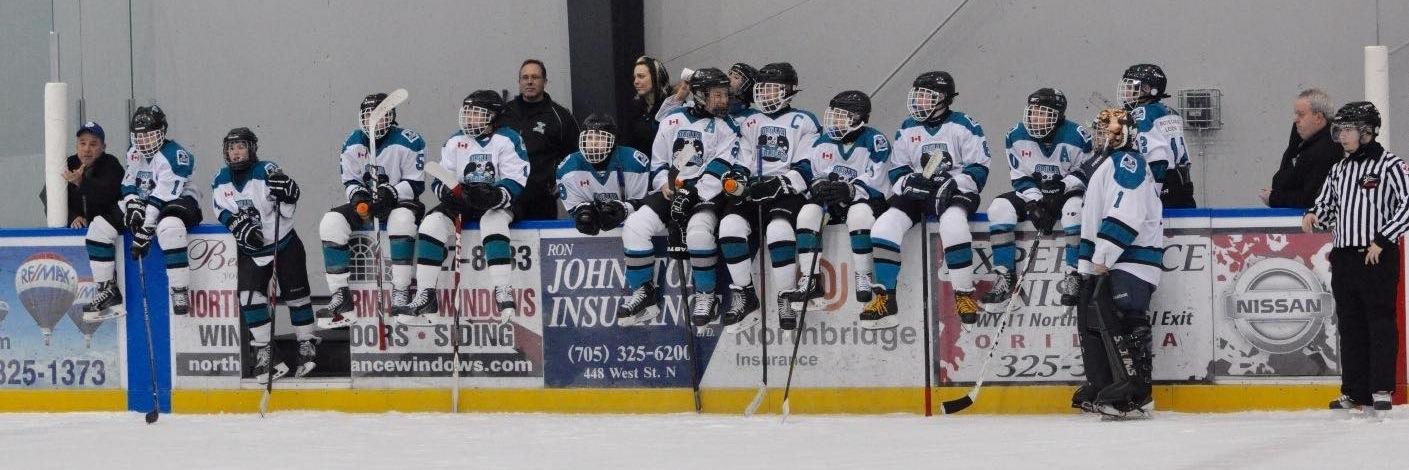 00terriers's profile banner image