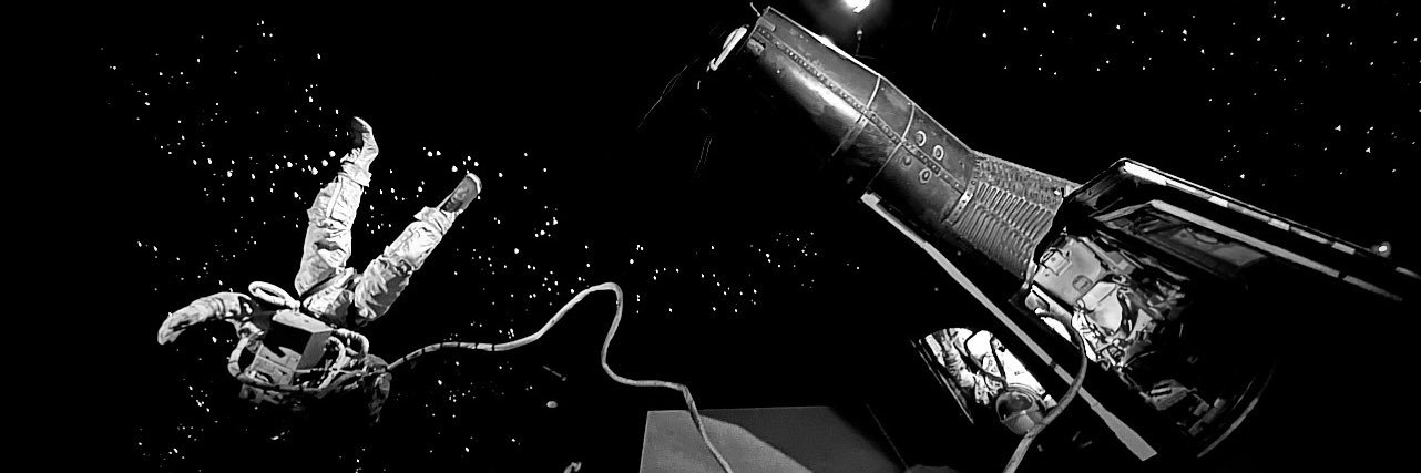 birdyguyy's profile banner image