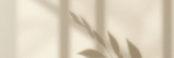 lou_peter_pan's profile banner image