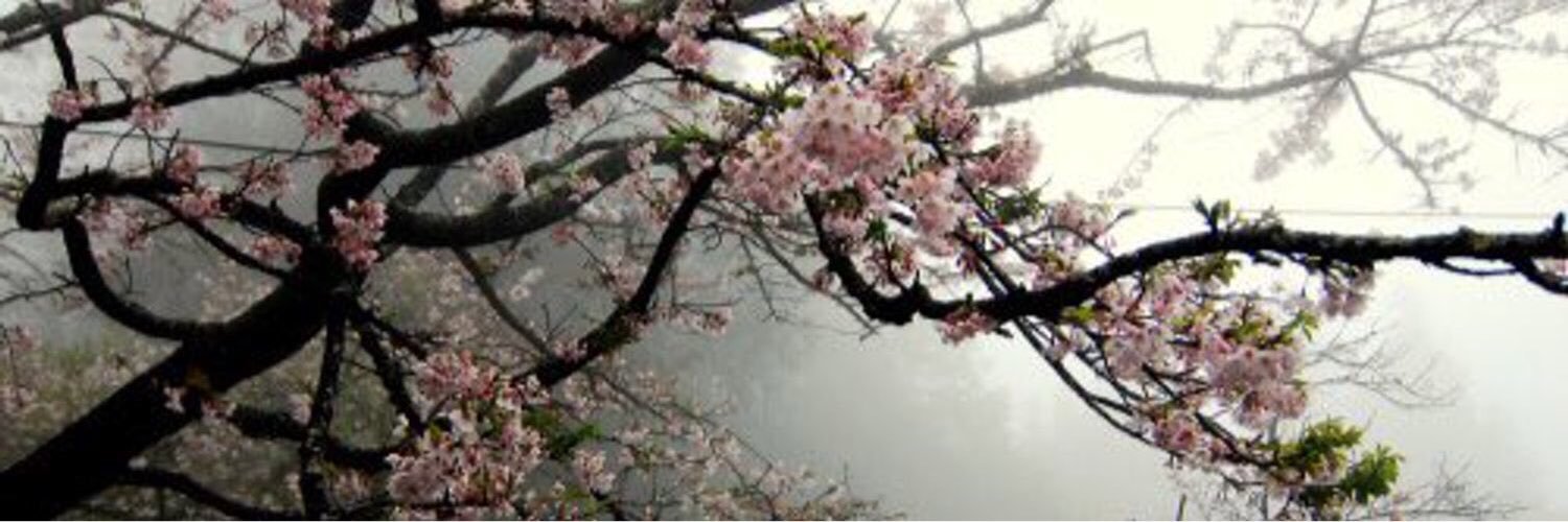 D_hmfh's profile banner image