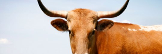 TejasTales's profile banner image