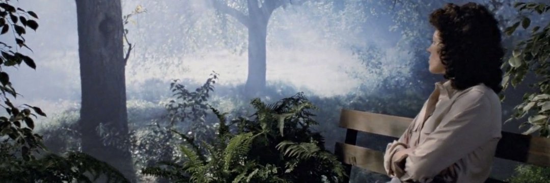 syttenskat's profile banner image