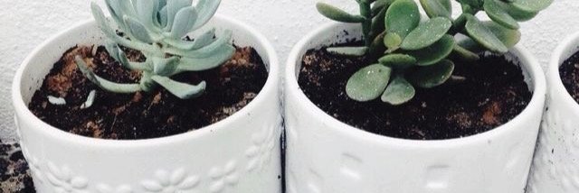 MelodySandersLA's profile banner image