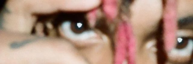🦦 banner