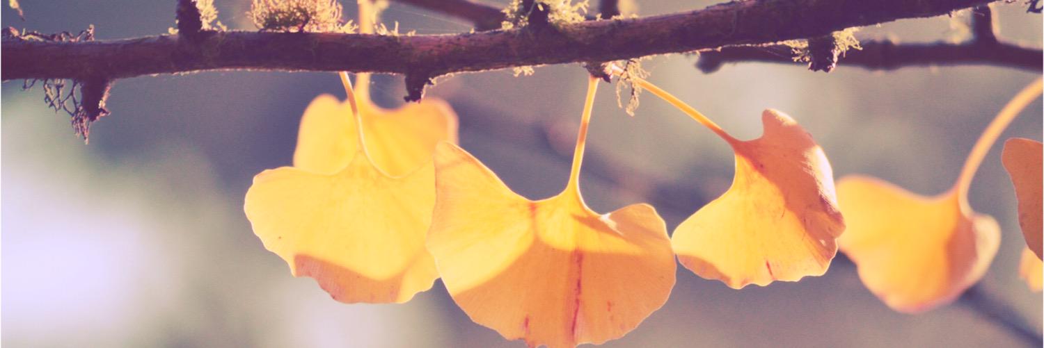 RandomAhPesuvom banner