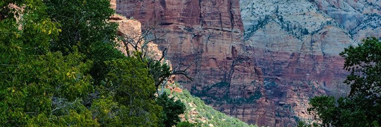 staceykhmeyer1's profile banner image