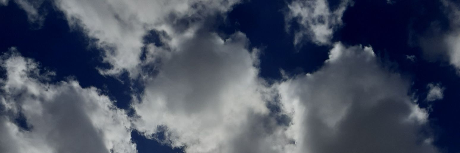 emimolina44's profile banner image