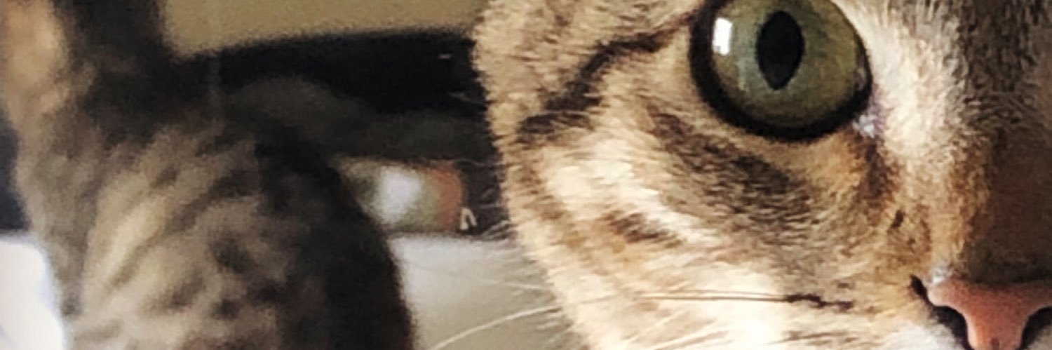 lookinglasspics's profile banner image