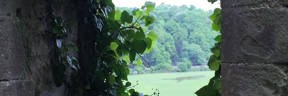 David Hallstrom banner