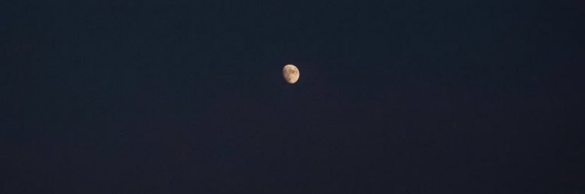 Giulianaluffi's profile banner image