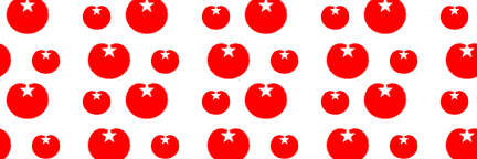 SP banner
