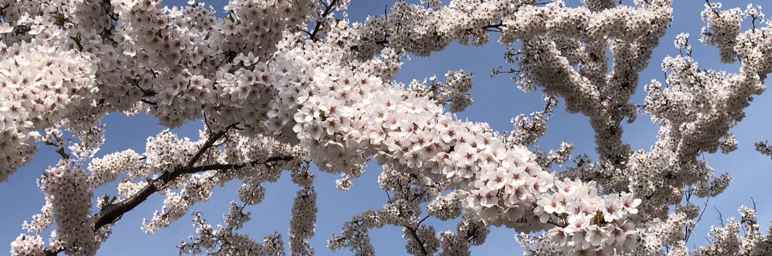 ruitan519's profile banner image