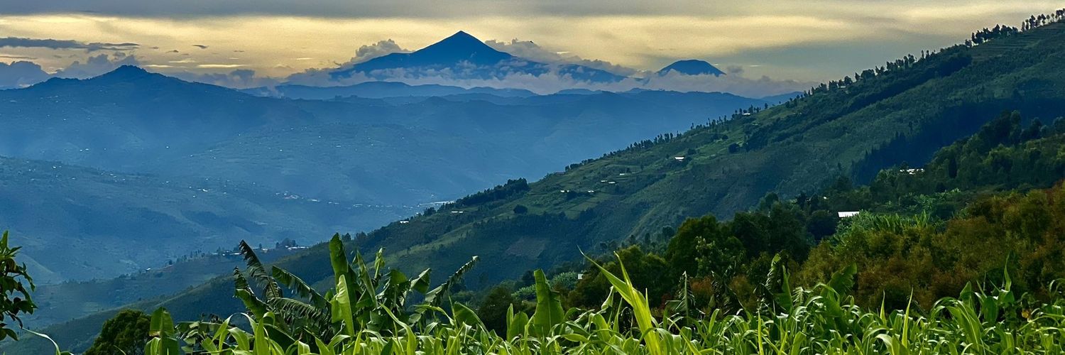 MarieAngeZima banner