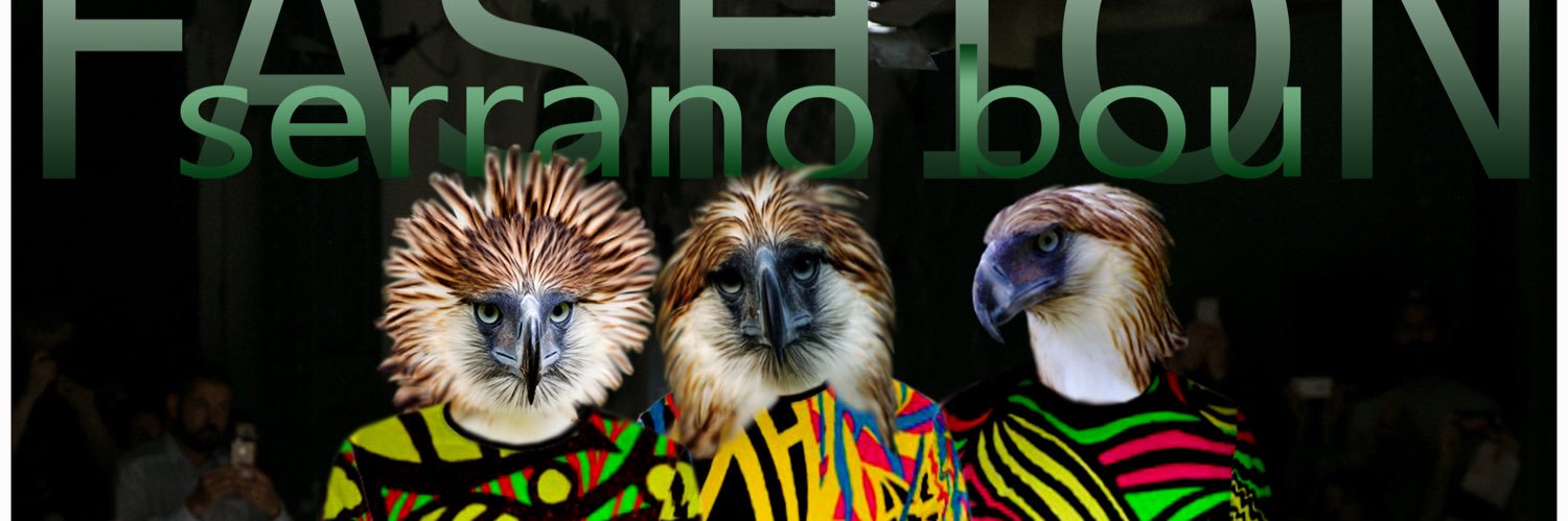 serranobou's profile banner image
