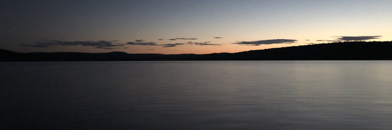 Greeniator's profile banner image