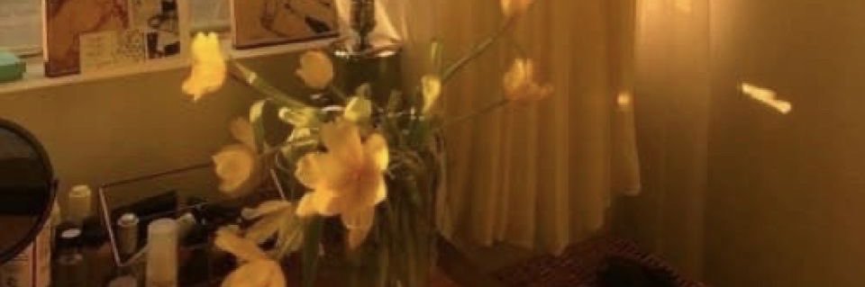 oli ⟢ banner