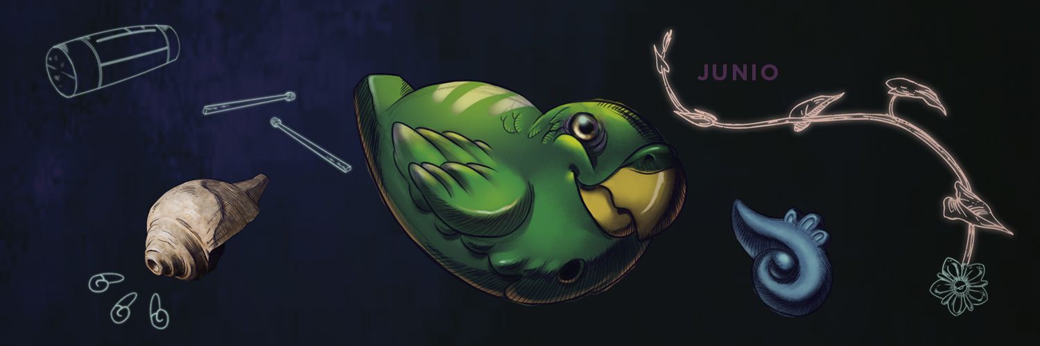 CCESV's profile banner image