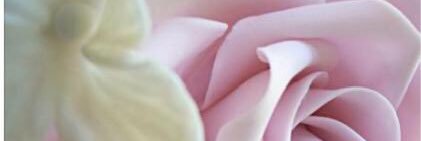 yousefamon's profile banner image