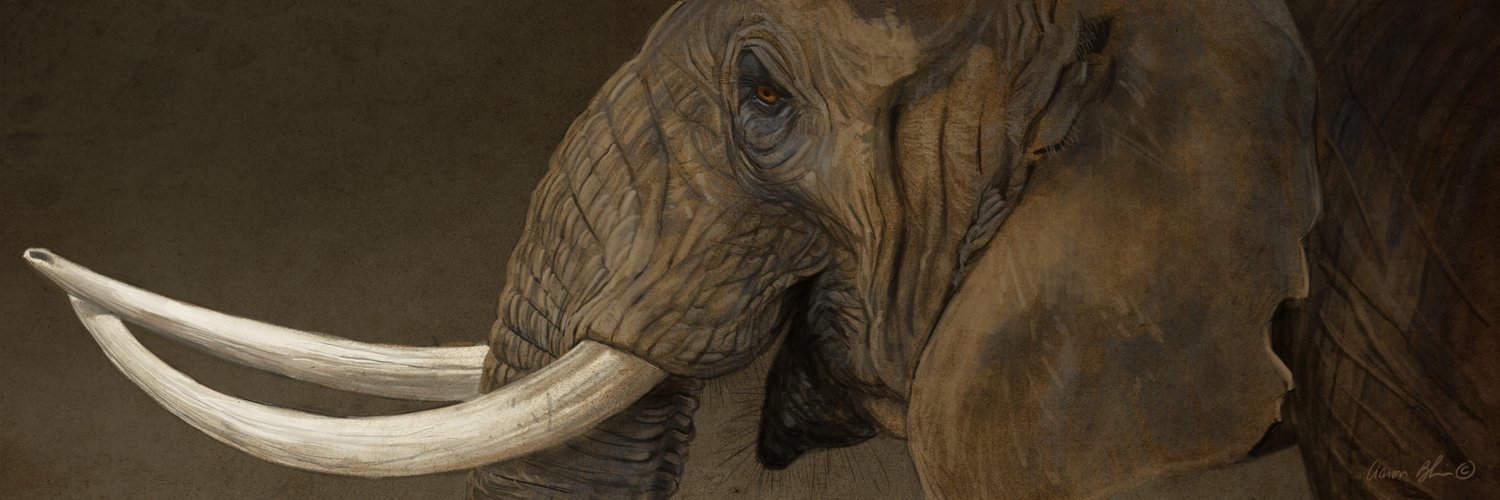 Зачесломский Виктор banner