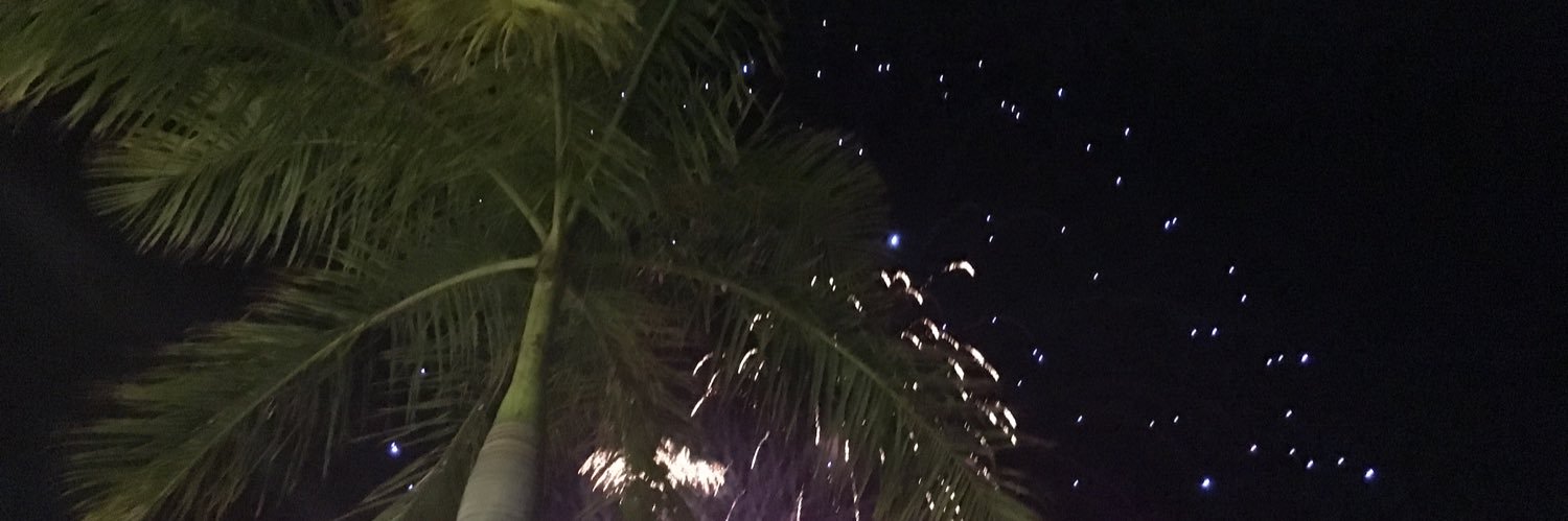 bobo4sam's profile banner image