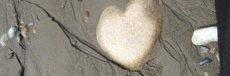 Elizabeth Wilson banner