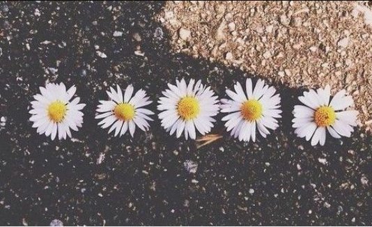 Rojuarez15_'s profile banner image