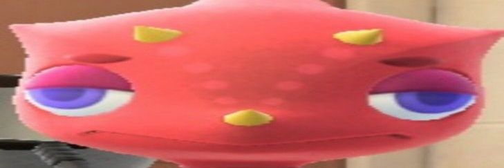 bridude11's profile banner image