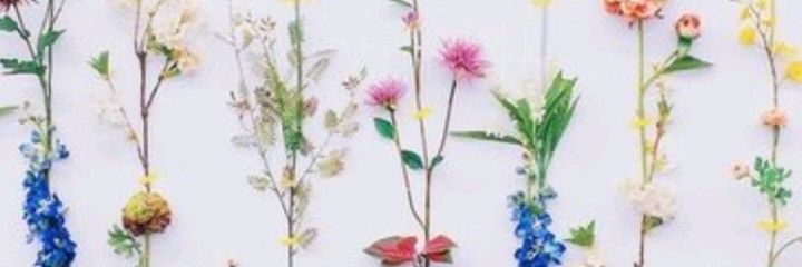 IREMSZN1's profile banner image