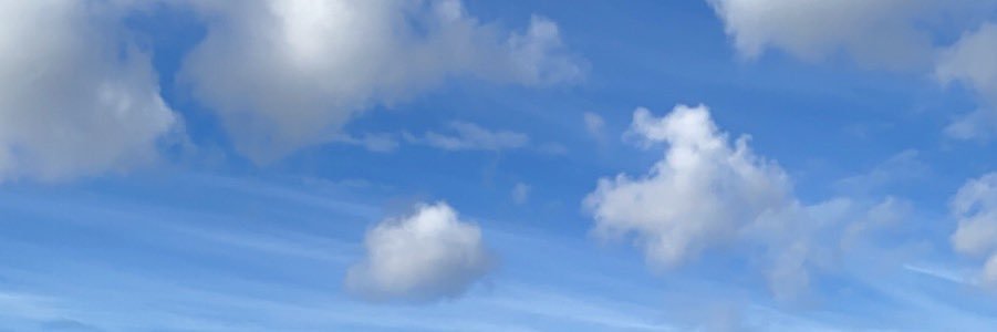 AdeleConder77's profile banner image