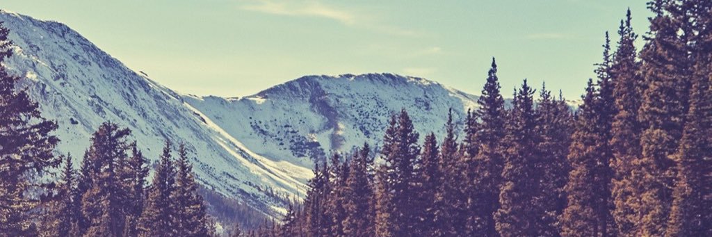 lottiex13's profile banner image