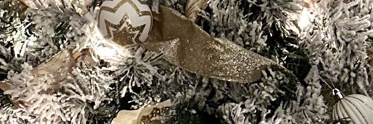 MayraLMatos's profile banner image