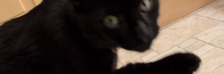 NiallMullin's profile banner image