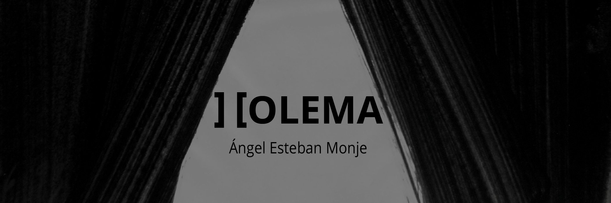 Ángel Esteban Monje banner