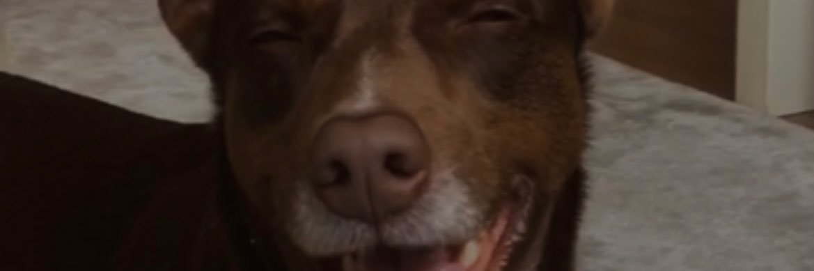 LilGaspas's profile banner image