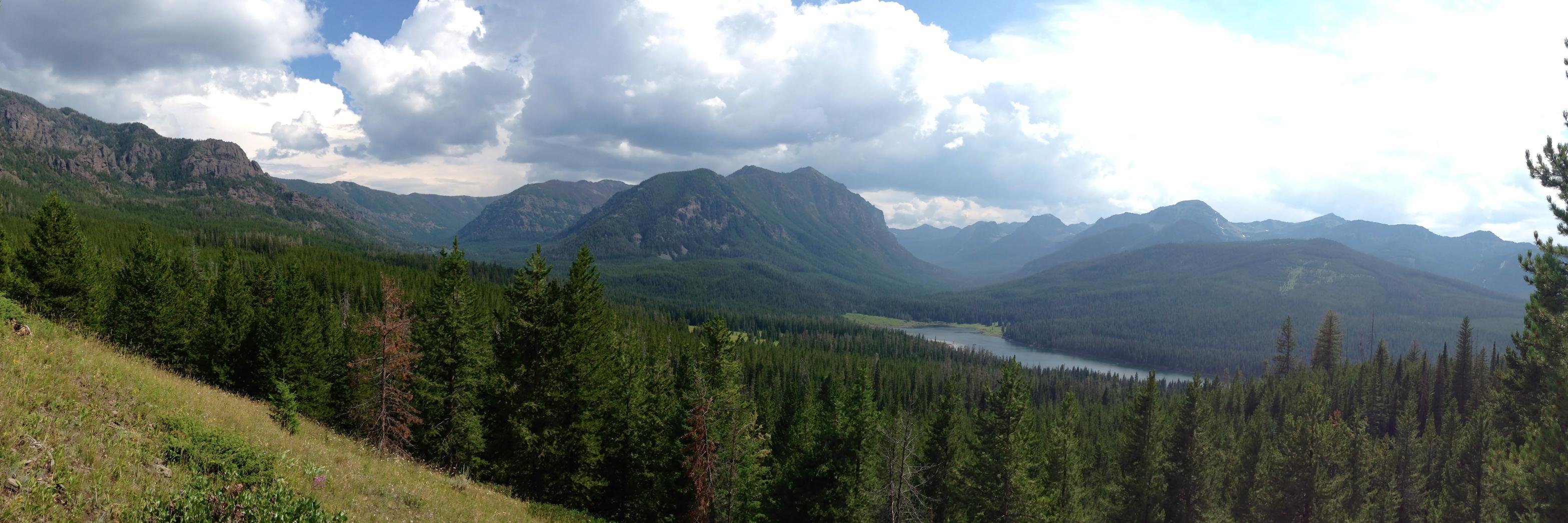 Cycle Clothing Co. banner