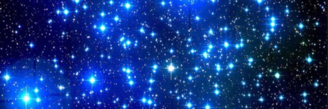 Amilia Andraos banner