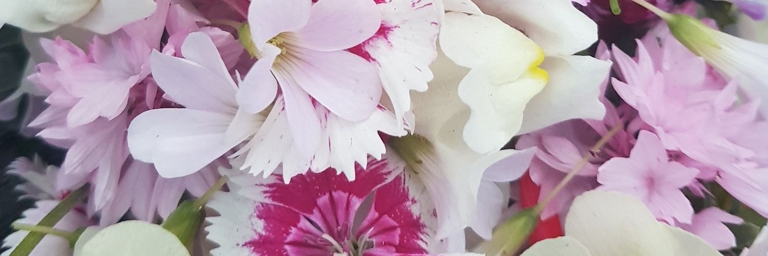 chefphilipkidd's profile banner image