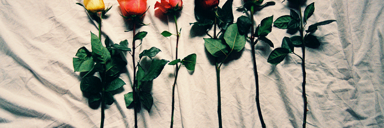 WasReem1's profile banner image