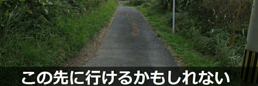 🍓苺の人🍓(՞ةڼ◔) banner