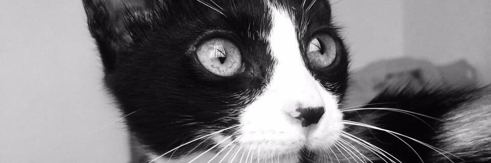 UnaTalSary's profile banner image