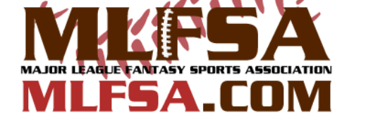 MLFSA banner