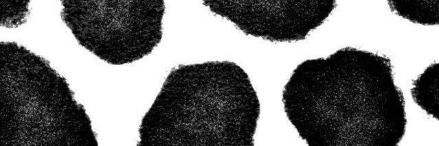 locast99's profile banner image