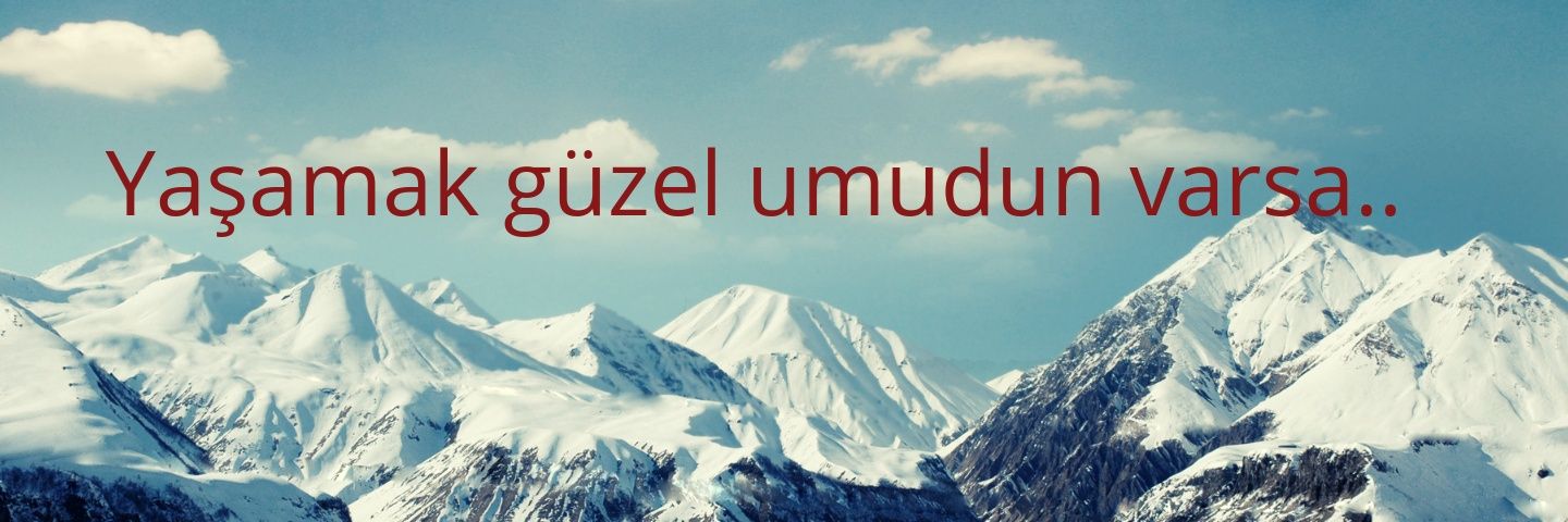 krtlsvkt's profile banner image