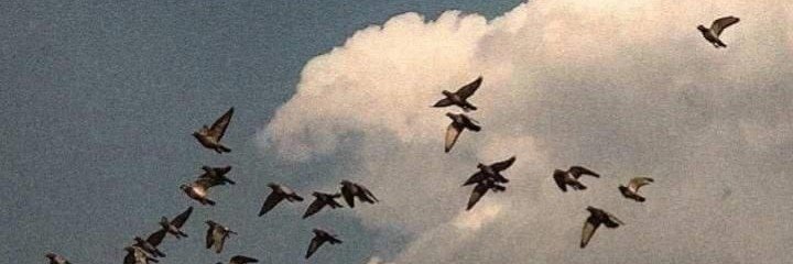 _Gxq25's profile banner image